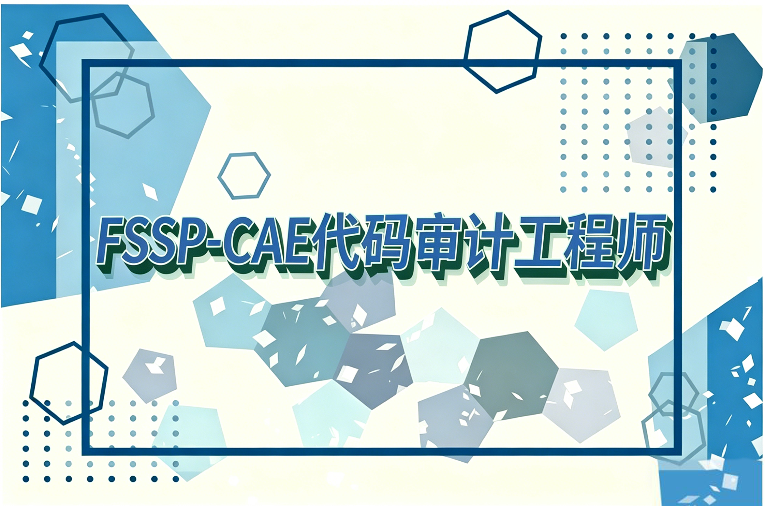 FSSP-CAE代码审计工程师